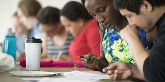 Students engaging in study